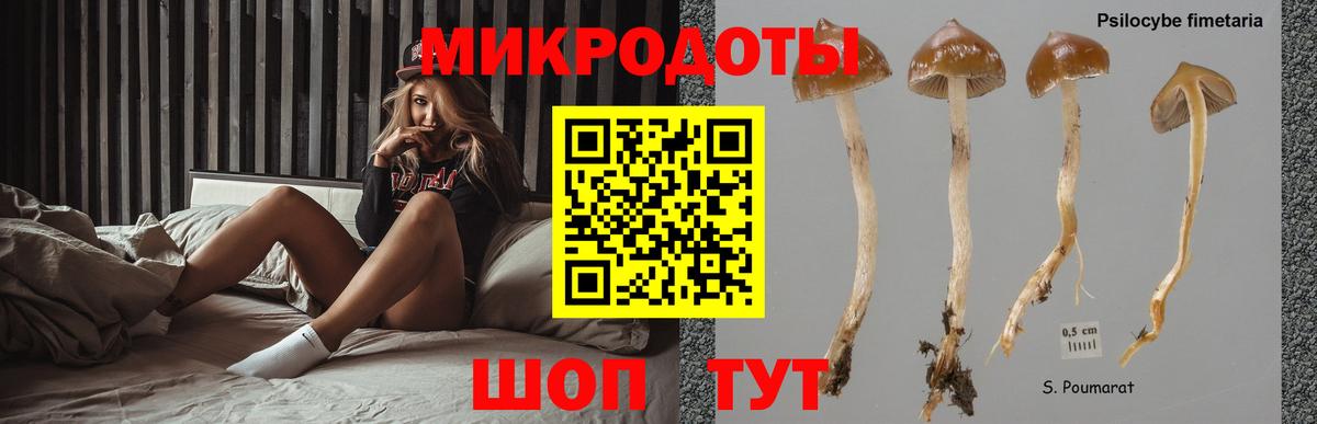 Галлюциногенные грибы прущие грибы Слободской