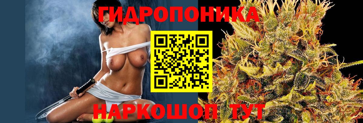 Шишки марихуана марихуана Слободской